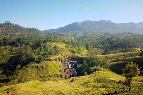 Safári pela cidade: Cinco dias de descobertas