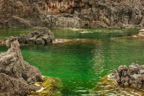 From Funchal: Enchanted Terraces and Porto do Moniz 4WD Tour