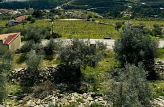 Private Ganztagestour durch das Douro-Tal