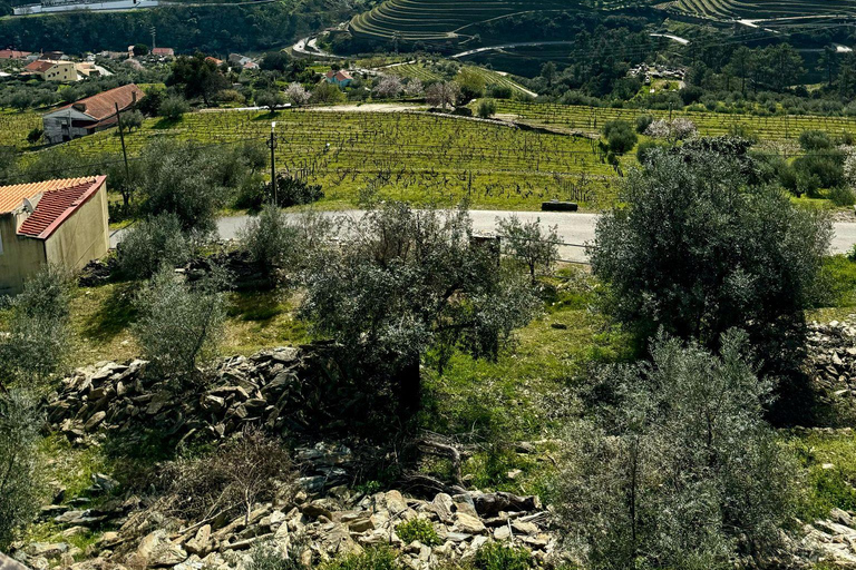 Private Douro Valley Full Day Tour Private Douro Valley Food and Wine Tour From Porto