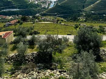 Tour privato di un giorno nella Valle del Douro
