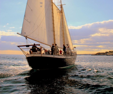 Newport: Champagne Sunset Sail