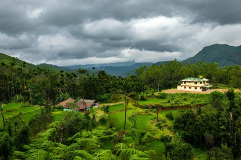 From Cochin: Munnar, Thekkady, Alleppey, and Kovalam Tour