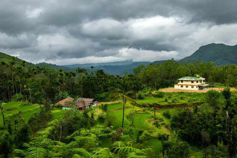 Au départ de Cochin : Visite de Munnar, Thekkady, Alleppey et Kovalam