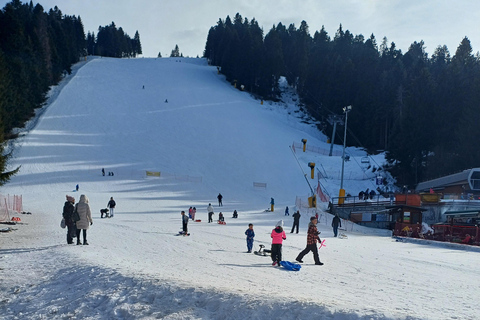 博罗韦茨徒步和雪橇之旅，参观比斯特里察皇家宫殿博罗维茨徒步和雪橇之旅，参观比斯特里察皇家宫殿