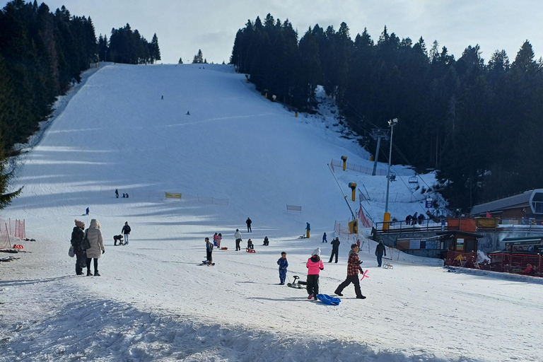 博罗韦茨徒步和雪橇之旅，参观比斯特里察皇家宫殿博罗维茨徒步和雪橇之旅，参观比斯特里察皇家宫殿
