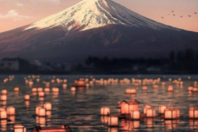 Excursão particular de 1 dia ao Monte Fuji e Hakone