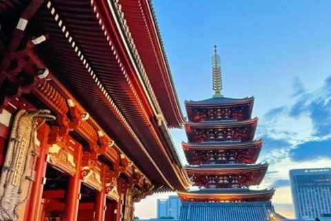 Tokyo Full Day Private Sightseeing Tour with English Driver