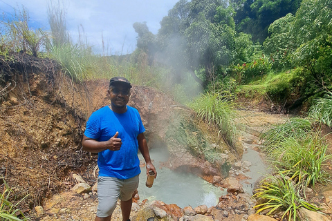 Roseau: Rainforest tour of Trafalgar Waterfalls & Geysers.