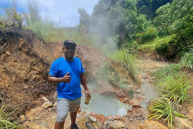 Roseau: Rainforest tour of Trafalgar Waterfalls & Geysers.