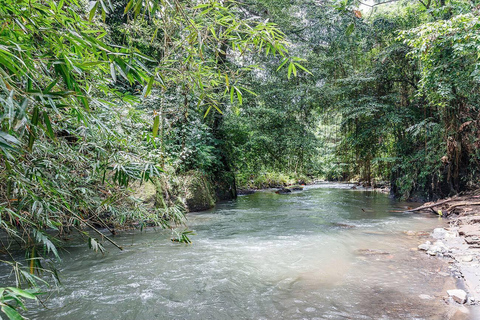 Ubud Ancient Wonders: Goa Garba, Cliff Temple & Yeh Pulu