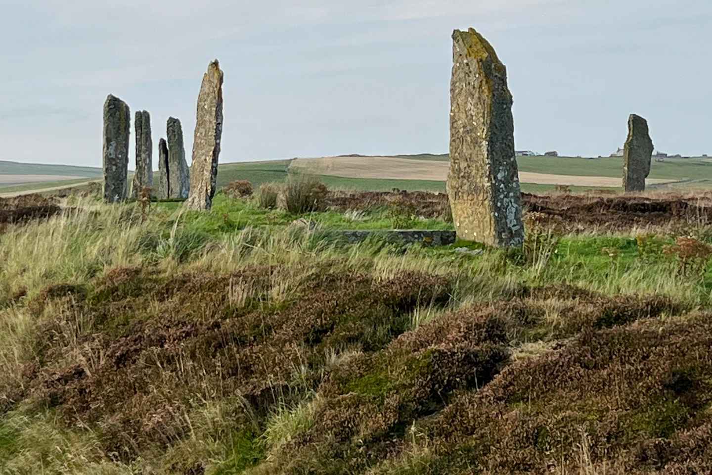 Orkney:Private Half-Day Neolithic Tour with Local Guide