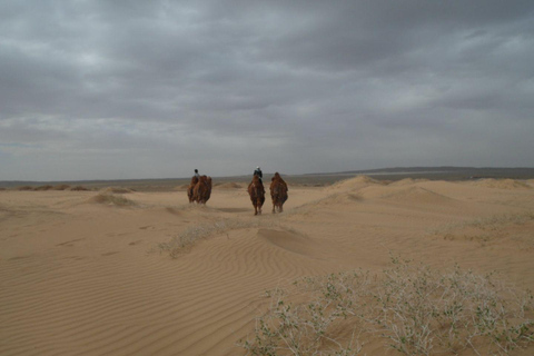 6 day Great Gobi tour Mongolia