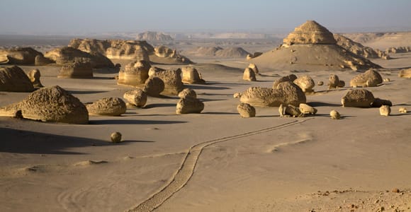 Discover Wadi Hitan, Egypts Prehistoric Wonder!