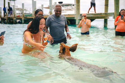 Nassau: Rose Island's Sand Dollar Beach Resort with Lunch