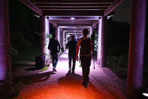 Porto: Serralves Em Luz Immersive Light Show Entry Ticket