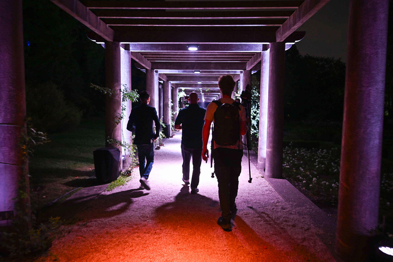 Porto: Serralves Em Luz Immersive Light Show Entry Ticket