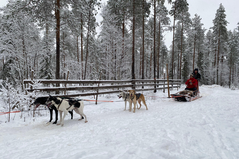 Rovaniemi: tour del villaggio di Babbo Natale, visita agli husky e alle renne