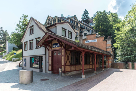 Train to Abbey Library & Appenzell: Culture, Cheese & Views Including all Tickets