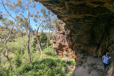 Adelaide Hills : Visite guidée des vignobles en E-Bike avec déjeuner