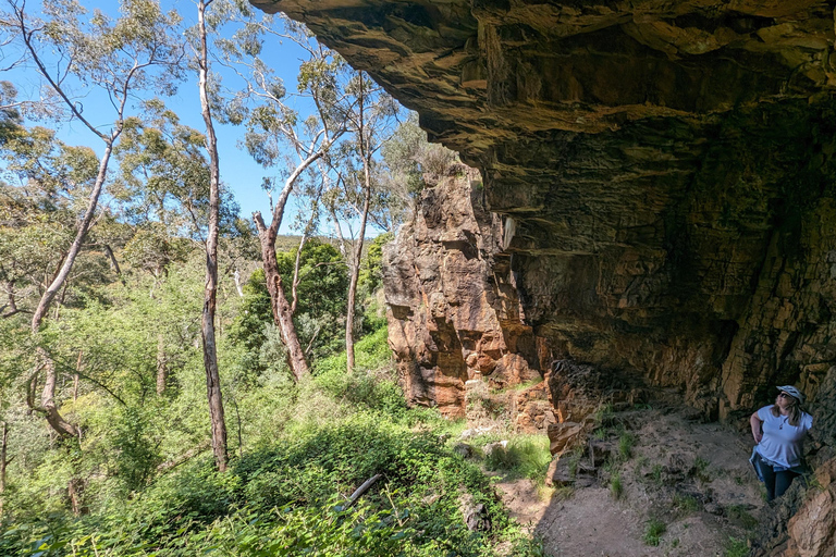 Adelaide Hills: Zelf begeleide E-bike wijntour met lunch