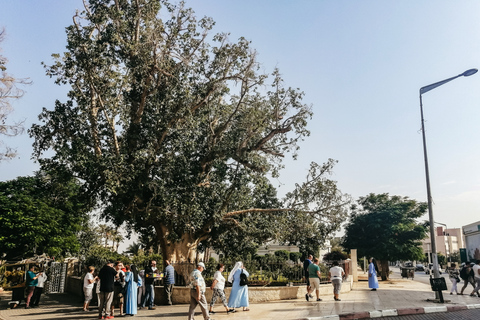 Betlemme, Gerico e fiume Giordano: tour da Gerusalemme/Tel AvivDa Gerusalemme