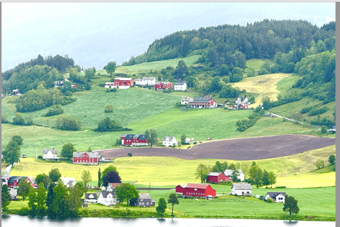 Flåm Flexible Tour with Stegastein, cruise and train include