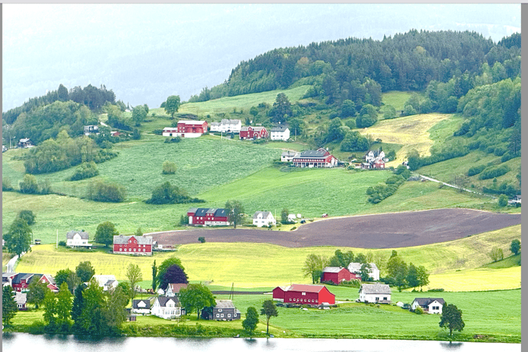 Flåm Flexible Tour with Stegastein, cruise and train include