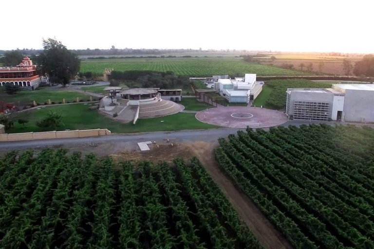 Visita a la Hacienda La Caravedo