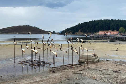 From Tirana/ Durrës: Apollonia & Zvernec Monastery Day Tour