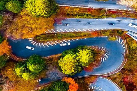 From Tokyo: Nikko UNESCO Sites Private English Guided Tour