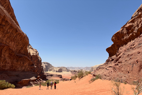 Wadi Rum: Private 2-day photography tour stargazing and jeep