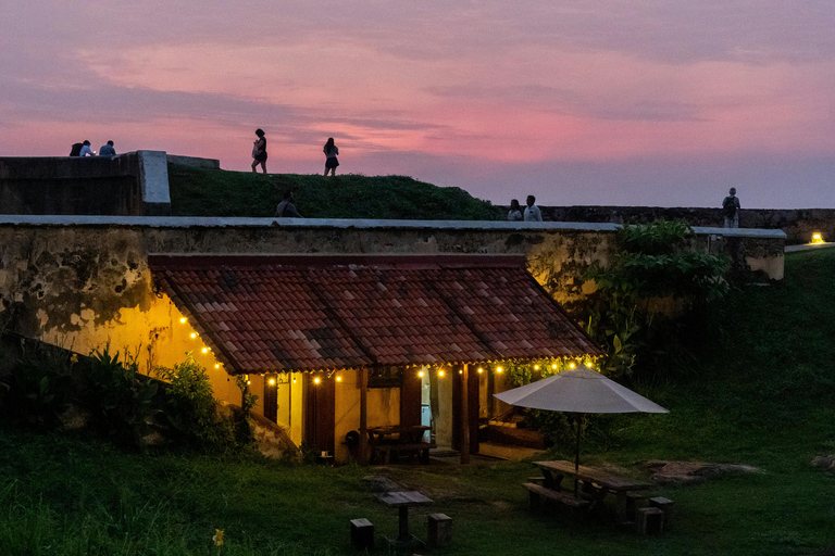 Colombo: Galle, Madu River Day Trip with Turtle Conservation