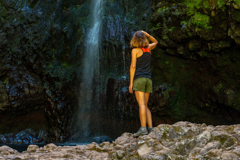 Madeira: Jungle Fever Levada Caldeirao Verde Hike Santana Caniço: Pick Up area