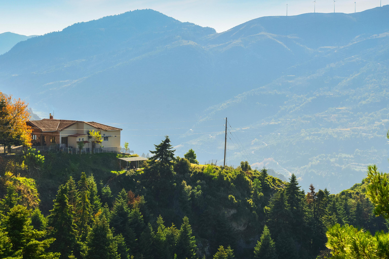 Athens: Kalavrita UNESCO Global Geopark & Pounta Beach Swim