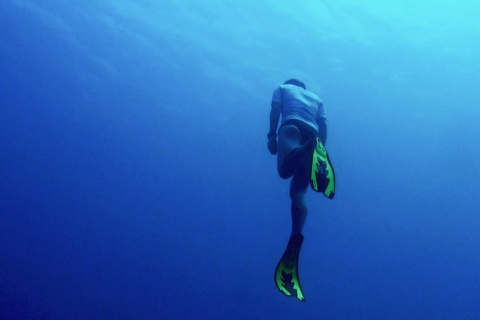 Phuket: PADI 3-Day Freediving CoursePhuket: AIDA Cursos de apnea 2 estrellas