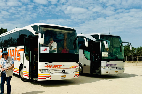 From Manama: Bahrain Full-Day Tour by Luxury Bus