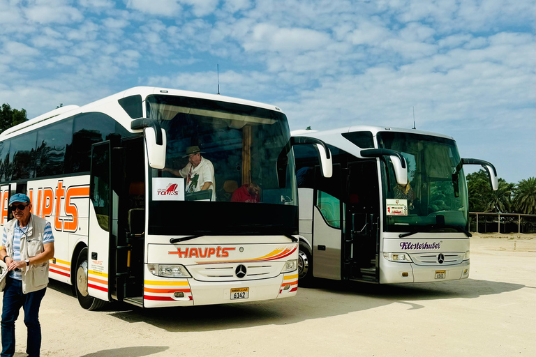 From Manama: Bahrain Full-Day Tour by Luxury Bus