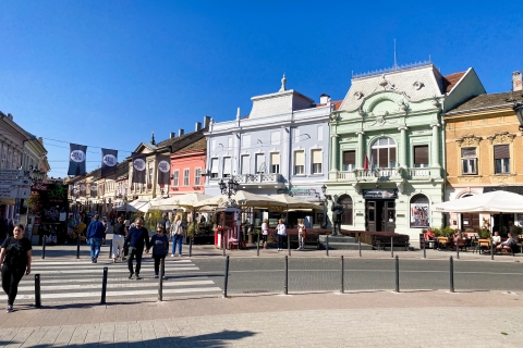 Belgrado: tour de Novi Sad y Sremski Karlovci con degustación de vinosTour privado