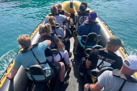 Balade en mer de Nice vers Monaco et stop à Villefranche