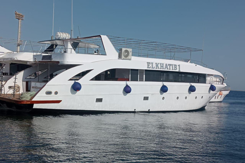 Hurghada: Excursão de mergulho com golfinhos e recifes de coral com almoçoPasseio de barco para observação de golfinhos com snorkeling e almoço