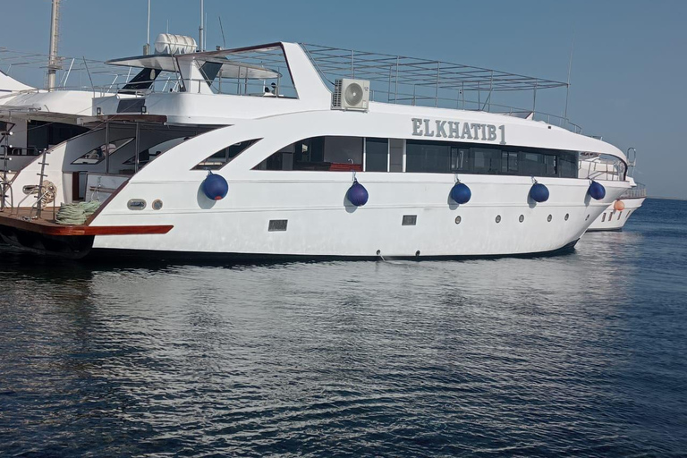 Hurghada: Dolphin & Coral Reef Snorkeling Tour with Lunch Boat, Snorkeling, Lunch with Private Transfer