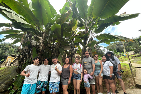 El Yunque Rainforest & Old San Juan Tour