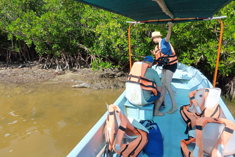 Yucatán: Bootstour durch das Biosphärenreservat Río Lagartos