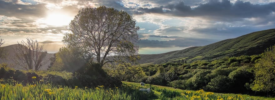 Dingle : Visite touristique et photo de la péninsule d'Hudden