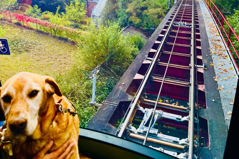 Zurich 2 Funicular secret with 2 Panoramic Views same day