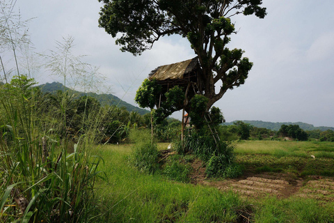 From Kandy: 2-Day Sigiriya & Ambewella Station drop Tour