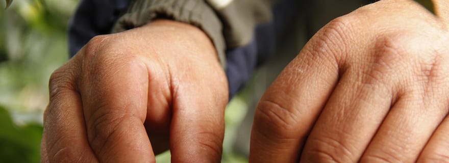 Buon Ma Thuot : L'expérience authentique d'une ferme de café avec déjeuner