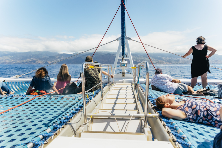 Funchal : observation de dauphins et baleines en catamaran