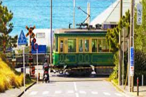 Tokyo: 2-Day Guided Tour with Kamakura & Hotel Pickup